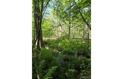 New York 96, Waterloo, NY 13165