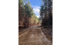 Mount Calvary Church Road, Louisville, MS 39339