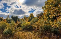 Parcel 4 E Darga Road, Cedar, MI 49621