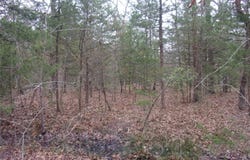 Hideaway, Murchison, TX 75778
