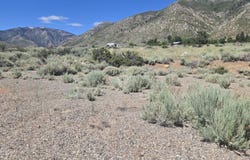 18 Sunrise Trail, Markleeville, CA 96120