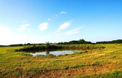 316 Flowing Wells Road, Pottsboro, TX 75076