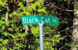 Blackcat Pt Drive, Princeton, ME 04668