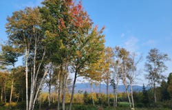 41-110 Big Snow Way, Rangeley, ME 04970