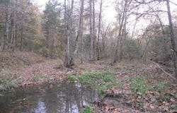 Mt Hershey, Western Grove, AR 72685