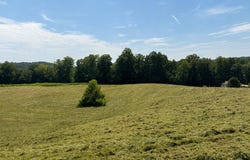 Potts Camp Rd, Smithville, TN 37166