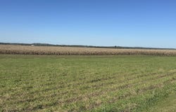 21158 Quigg Ave, Pacific Junction, IA 51561