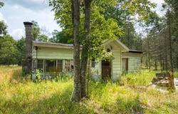 10130 N Brooks Road, Irons, MI 49644
