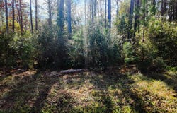 117 Oswell Brinson Road lot: 3, Merritt, NC 28556