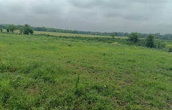 CR494 N, Chilton, TX 76632