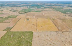 353 County Road 228, Falls City, TX 78113