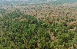 81 Road, Tinsman, AR 71631