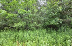 L28.03 Halbert Hill Rd, Butternuts, NY 13809