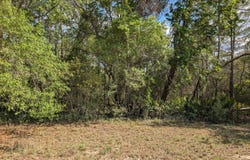 5537 LASSEN Street, Keystone Heights, FL 32656