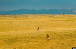 32 Wallows Creek Parcel 2, Buffalo, WY 82834-0000