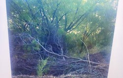 498 D Chavarra Rd, Eagle Pass, TX 78852