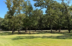 647 CR 2131, Nacogdoches, TX 75695