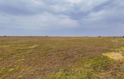 SW 100th, Zenda, KS 67159