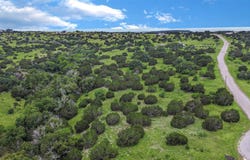 Walnut Canyon Dr lot: 59, Bertram, TX 78605