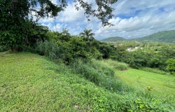 Daguao, Naguabo, PR 00718