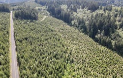 SE Clausen Rd, Estacada, OR 97023