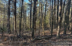 Eagles Nest Lane lot: #24, Glade Valley, NC 28627