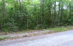 Branch Road, Moncks Corner, SC 29461