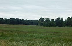 1611 E Hyde Road, St. Johns, MI 48879