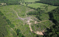 CR 2729, Naples, TX 75568