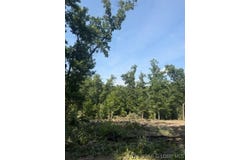 Possum Trot Road, Stover, MO 65078
