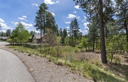 47 Needle Creek Court, Durango, CO 81301