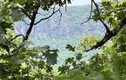 Meadow Creek Road, Clinton, AR 72031