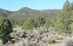 310-010-02 Gorman Rd., Kennedy Meadows, CA 93527