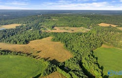 40acres County Road 668, Henagar, AL 35978