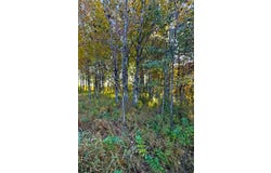 560th Street, Palisade, MN 56469
