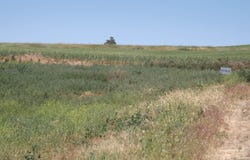 E A St, Rosalia, WA 99170