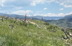 598 Mount Mcconnell Dr, Livermore, CO 80536