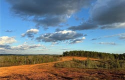 COUNTY ROAD 278, FIVE POINTS, AL 36855