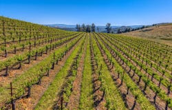 8179 Highway 29, Lower Lake, CA 95457
