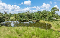 Wellborn, FL 32094