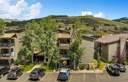 651 Gothic Road, Mt. Crested Butte, CO 81225