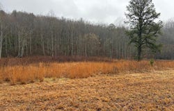 Whisper Woods Road lot: 42, Hiawassee, GA 30546