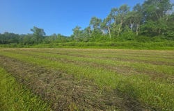 3873 Union Valley Rd, De Ruyter, NY 13052