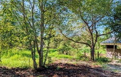 21320 SENECA HILLS Road, EUSTIS, FL 32736