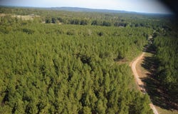 Highway 61, Columbiana, AL 35051