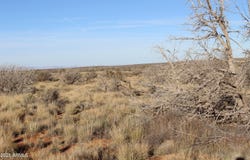 CCR Unit 2 lot: 224, Heber, AZ 85928