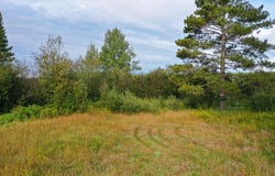 6501 Highway 169, Tower, MN 55790