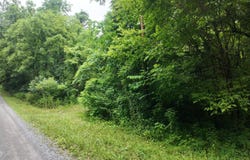 Ford Branch Road, Duffield, VA 24244