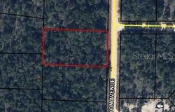 CANYON Avenue, ALFORD, FL 32420