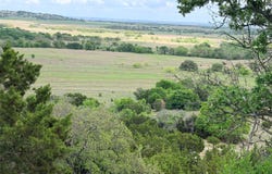 221B CR 250, Star, TX 76880